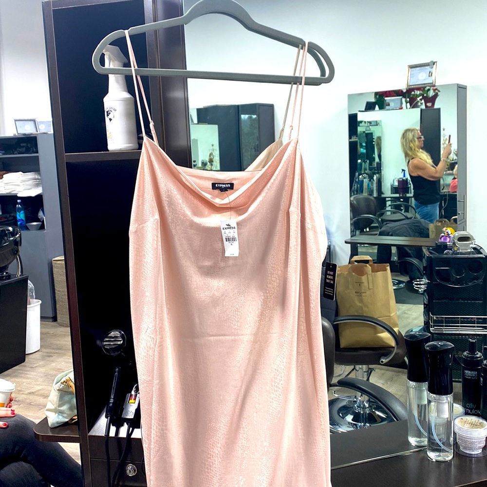 Express slip dress